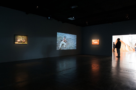 Rodrigo Braga's videos at the Sao Paulo Bienal (2012)