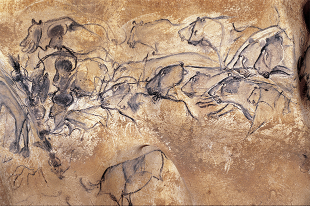 Lion pictures in the Chauvet Cave, from Cave Art
