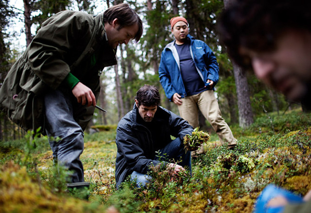 Daniel Patterson (centre) and David Chang (back) forage in Finland with Cook It Raw co-founder Rene Redzepi (left)