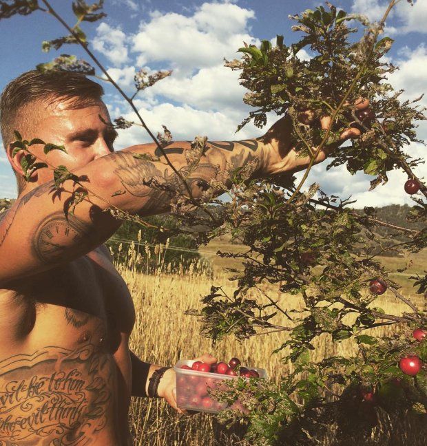 Chef Elijah Holland foraging mirebelle plums near Canberra, 2016. Image courtesy of the chef's Instagram account