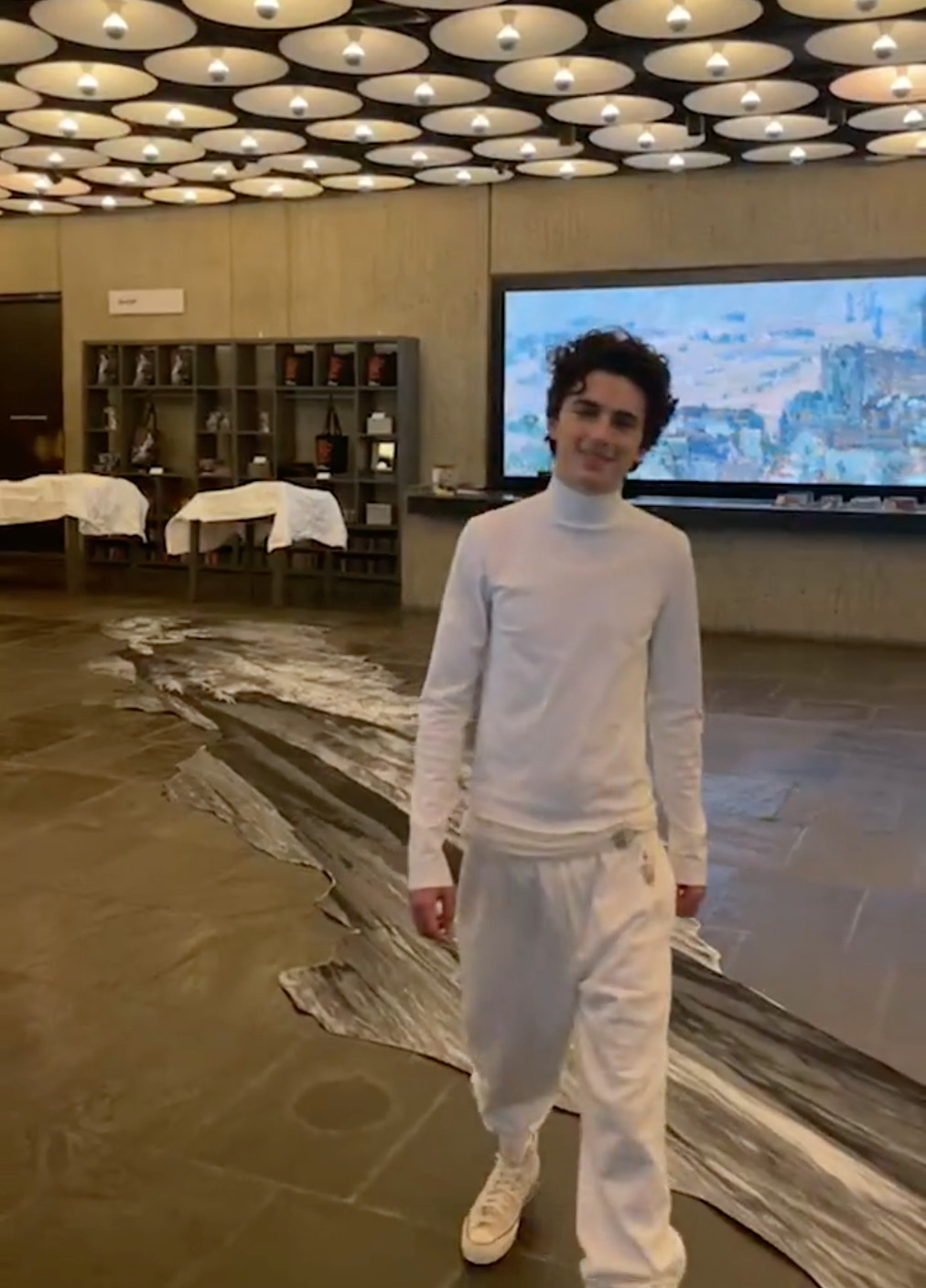 Timothée Chalamet beside one of JR's new installations at the Frick