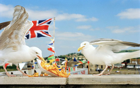 Martin Parr's Think of England (1996)